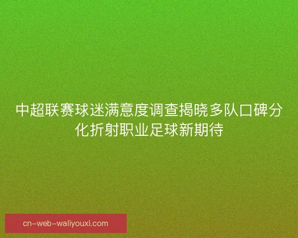 中超联赛球迷满意度调查揭晓多队口碑分化折射职业足球新期待