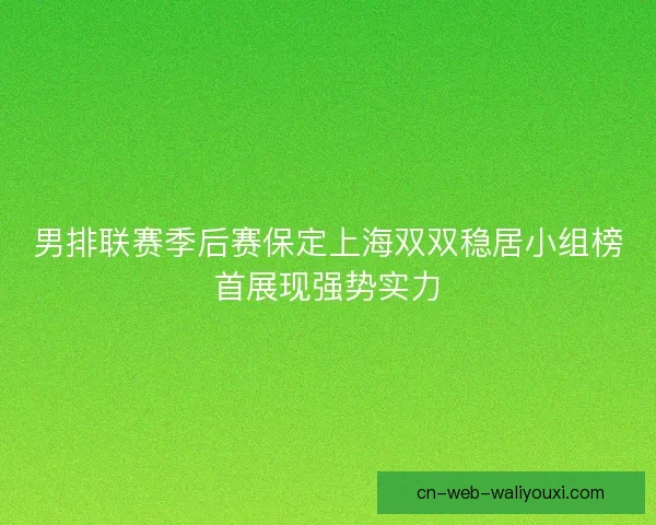 男排联赛季后赛保定上海双双稳居小组榜首展现强势实力