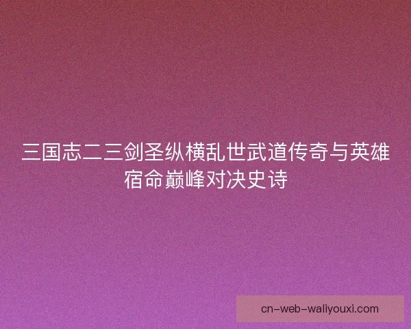 三国志二三剑圣纵横乱世武道传奇与英雄宿命巅峰对决史诗